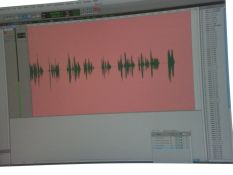Here’s what a recorded book looks like to the computer. Do you think it knew it was recording a romance? Or does it always turn pink...