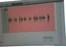 Heres what a recorded book looks like to the computer. Do you think it knew it was recording a romance? Or does it always turn pink...